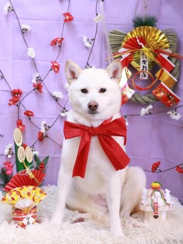 20230108姫花ちゃん